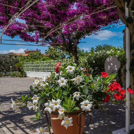 Iolanda Guest house Piano di Sorrento